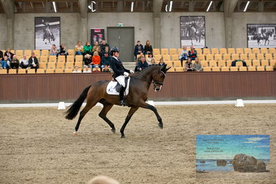 Blue Hors
6 års finale
Keywords: susanne barnow;skovdals dexter