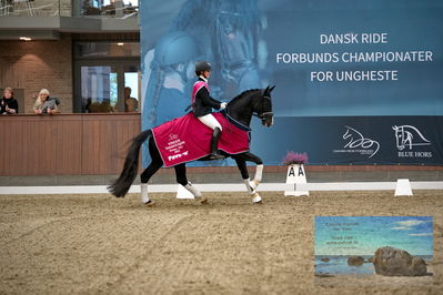 Blue Hors
6 års finale
Keywords: anna kasparcack;dansiero;lap of honour