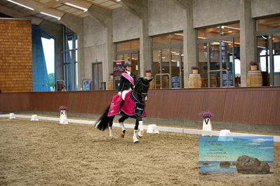 Blue Hors
6 års finale
Keywords: anna kasparcack;dansiero;lap of honour