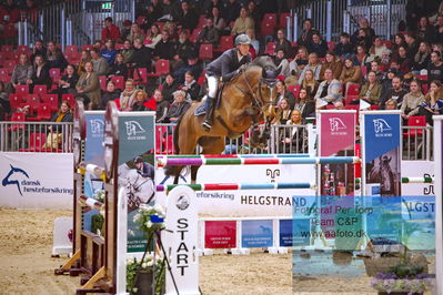 Kingsland CSI3 Medium Tour 140
Keywords: jost martens;cosimo