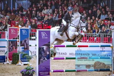 Kingsland CSI3 Medium Tour 140
Keywords: benedikte rie truelsen;cassina z