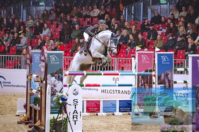 Kingsland CSI3 Medium Tour 140
Keywords: catdaddy;jennifer  fogh pedersen