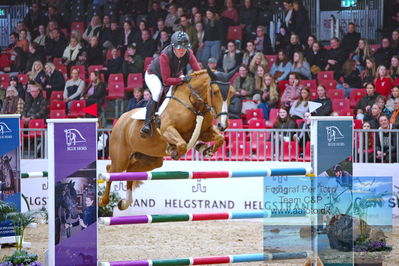 Kingsland CSI3 Medium Tour 140
Keywords: erika lichhammer van helmond