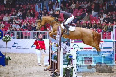 Kingsland CSI3 Medium Tour 140
Keywords: erika lichhammer van helmond