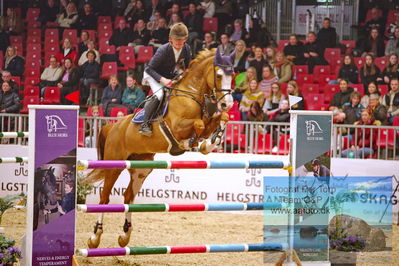 Kingsland CSI3 Medium Tour 140
Keywords: eric ten cate;horsedeals notre-dame van't roosakker