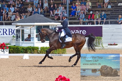 2023 CDI1 PSG - Prix St-Georges
Keywords: pt;rebecca cohen;jameson