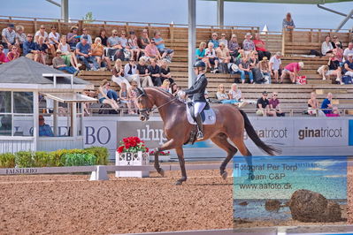 2023 Folksam Open 6-åriga hästar | Semifinal
Keywords: pt;selina solberg vittinghus;atterupgaards bonomassa