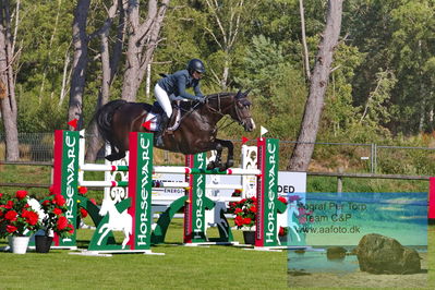 2Horseware 7-årschampionat | Semifinal 1 - 1.35 bed. A
Keywords: sandra skytt;prince