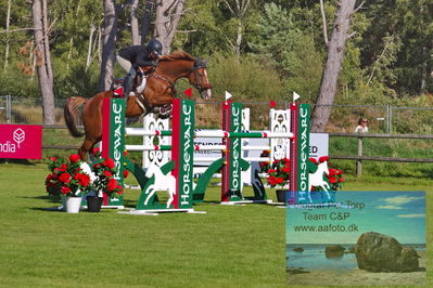 2Horseware 7-årschampionat | Semifinal 1 - 1.35 bed. A
Keywords: pt;satu liukkenen;carlyle