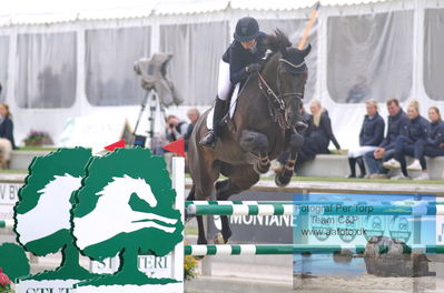 Alfarvad MA1 Springning Heste (135 cm) B7
Keywords: dm;pt;renee ulvsberg;vigo van riesen