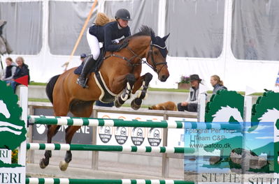 Alfarvad MA1 Springning Heste (135 cm) B7
Keywords: dm;pt;rikke rytter andersen;fi le grande