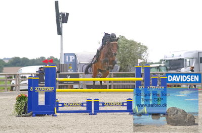 Alfarvad MA1 Springning Heste (135 cm) B7
Keywords: dm;pt;christian jansen;stenvangs daiquiri