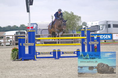 Alfarvad MA1 Springning Heste (135 cm) B7
Keywords: dm;pt;rikke andersen;twilight