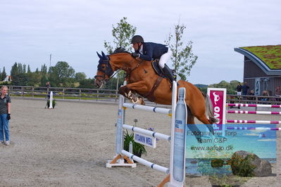 Flemming René Vinduespolering MA2 Springning Heste (140 cm) A
Keywords: dm;pt;benjamin saurugg;ally alfarvad z