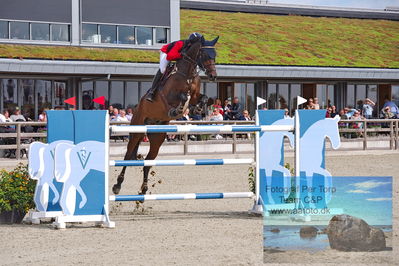 2. Kval. og Finale af Stutteri Ask Danmarks Mesterskab for senior S3
Keywords: dm;pt;rikke haastrup kristensen;engerupgaards cashatt
