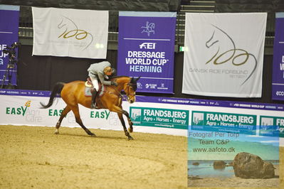 Stutteri Ask Grand Prix CSI2 (
Keywords: andreas schou;lady corlina