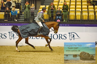 Stutteri Ask Grand Prix CSI2 (
Keywords: andreas schou;lady corlina;lap of honour