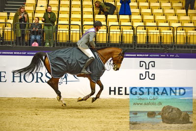 Stutteri Ask Grand Prix CSI2 (
Keywords: andreas schou;lady corlina;lap of honour