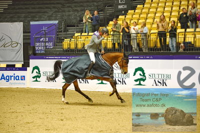 Stutteri Ask Grand Prix CSI2 (
Keywords: andreas schou;lady corlina;lap of honour