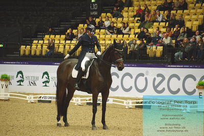 FEI Dressage World Cup Grand Prix Freestyle
Keywords: lone bang larsen;lone bang zindorff;thranegaardens rostov