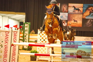 MCH CSI3 Small Tour (274.2.5) 1.25m
Keywords: celeste van der poel;ujade ste hermelle