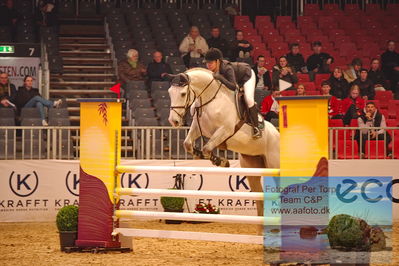 MCH CSI3 Small Tour (274.2.5) 1.25m
Keywords: anastasia bondarieva;nastelina vd witte driesendijk