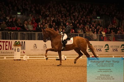 Stutteri EVO CDI1 Intermediate I (Int I)
Keywords: rikke lindberg;adrealin