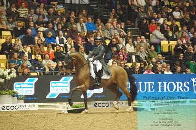 09 ECCO CDI5Grand Prix Special (GPS) - ECCO FIVE STAR DRESSAGE
Keywords: anna zibrandtsen;quel filur