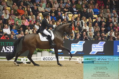 09 ECCO CDI5Grand Prix Special (GPS) - ECCO FIVE STAR DRESSAGE
Keywords: cathrine laudrup-dufour;mount st john freestyle