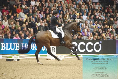 09 ECCO CDI5Grand Prix Special (GPS) - ECCO FIVE STAR DRESSAGE
Keywords: cathrine laudrup-dufour;mount st john freestyle