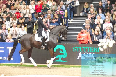 09 ECCO CDI5Grand Prix Special (GPS) - ECCO FIVE STAR DRESSAGE
Keywords: cathrine laudrup-dufour;mount st john freestyle