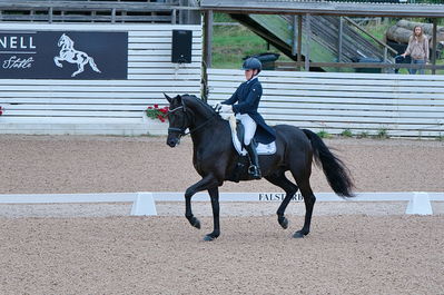 Dresuur 7 års championats finale
Keywords: falsterbo;sw;anna svanberg;vidar