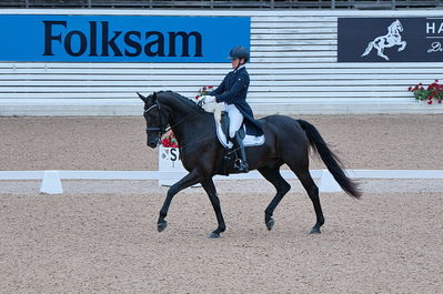 Dresuur 7 års championats finale
Keywords: falsterbo;sw;anna svanberg;vidar