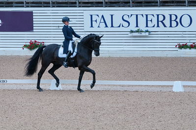 Dresuur 7 års championats finale
Keywords: falsterbo;sw;anna svanberg;vidar