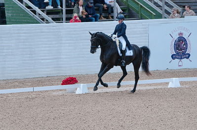 Dresuur 7 års championats finale
Keywords: falsterbo;sw;anna svanberg;vidar