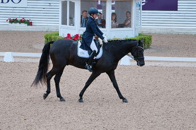 Dresuur 7 års championats finale
Keywords: falsterbo;sw;anna svanberg;vidar