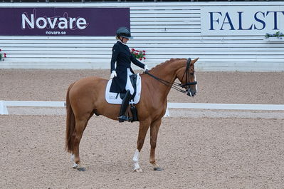 Dresuur 7 års championats finale
Keywords: falsterbo;dk;helene brinck;moelvangs kasmir