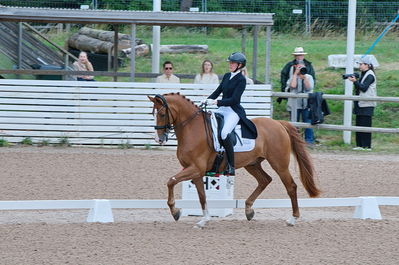 Dresuur 7 års championats finale
Keywords: falsterbo;dk;helene brinck;moelvangs kasmir