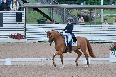 Dresuur 7 års championats finale
Keywords: falsterbo;dk;helene brinck;moelvangs kasmir
