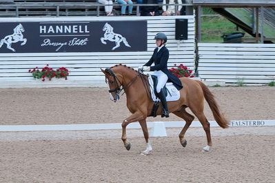 Dresuur 7 års championats finale
Keywords: falsterbo;dk;helene brinck;moelvangs kasmir