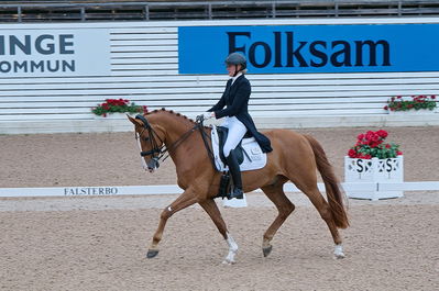 Dresuur 7 års championats finale
Keywords: falsterbo;dk;helene brinck;moelvangs kasmir