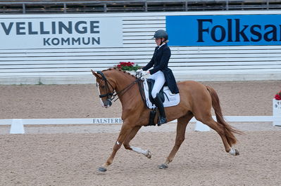 Dresuur 7 års championats finale
Keywords: falsterbo;dk;helene brinck;moelvangs kasmir