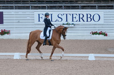 Dresuur 7 års championats finale
Keywords: falsterbo;dk;helene brinck;moelvangs kasmir