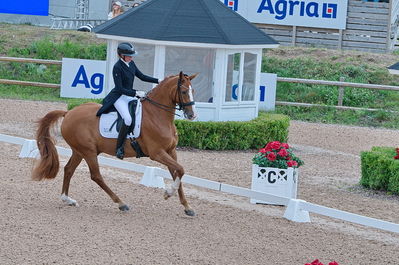 Dresuur 7 års championats finale
Keywords: falsterbo;dk;helene brinck;moelvangs kasmir