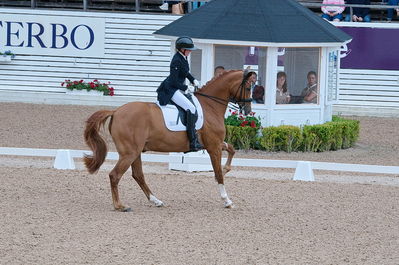 Dresuur 7 års championats finale
Keywords: falsterbo;dk;helene brinck;moelvangs kasmir