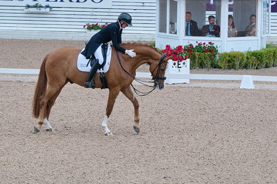 Dresuur 7 års championats finale
Keywords: falsterbo;dk;helene brinck;moelvangs kasmir