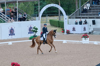Dresuur 7 års championats finale
Keywords: falsterbo;rune willum;dodley pax