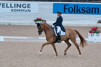 Dresuur 7 års championats finale
Keywords: falsterbo;rune willum;dodley pax