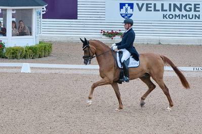 Dresuur 7 års championats finale
Keywords: falsterbo;rune willum;dodley pax