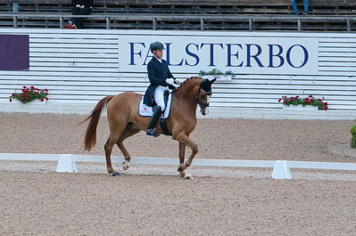 Dresuur 7 års championats finale
Keywords: falsterbo;rune willum;dodley pax